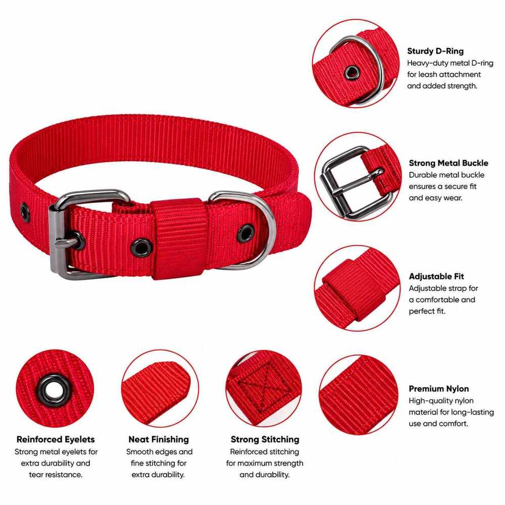 Dog Leash /collar/Harness Bodaybelt Set