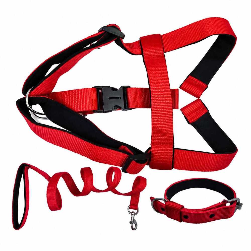 Dog Leash /collar/Harness Bodaybelt Set