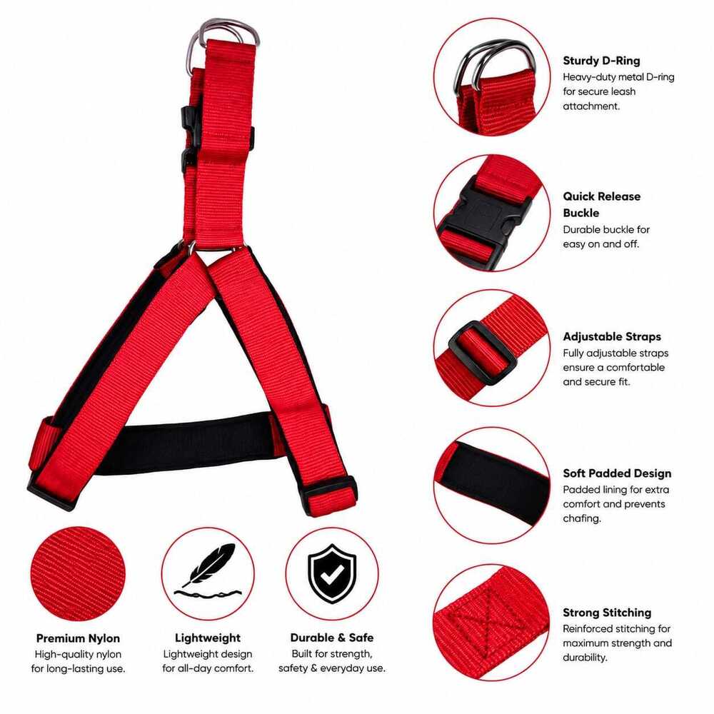 Dog Leash /collar/Harness Bodaybelt Set