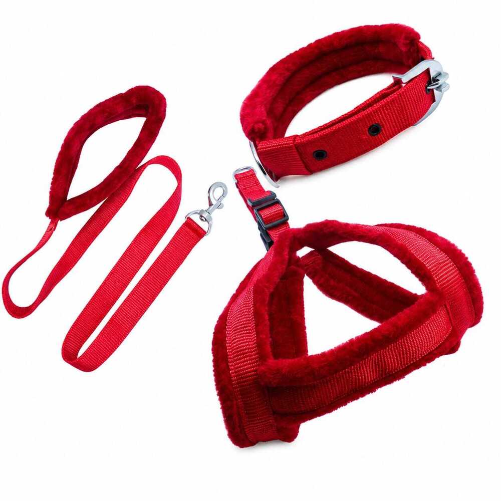 Dog  Leash/Collar/Harness Set