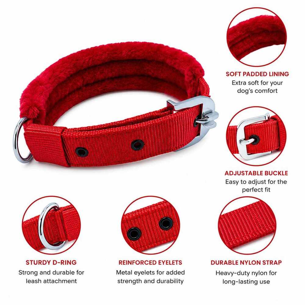 Dog  Leash/Collar/Harness Set