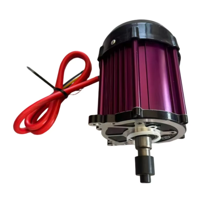 48V60V 800W 1000W 1200W 1500W 1800W 3200RPM Rockshaw Motor Waterproof Electric Bicycle Motor with Copper Brushless Motor CE ROHS