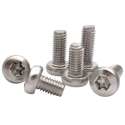 Stainless Steel Torx Pan Head Machine Screw