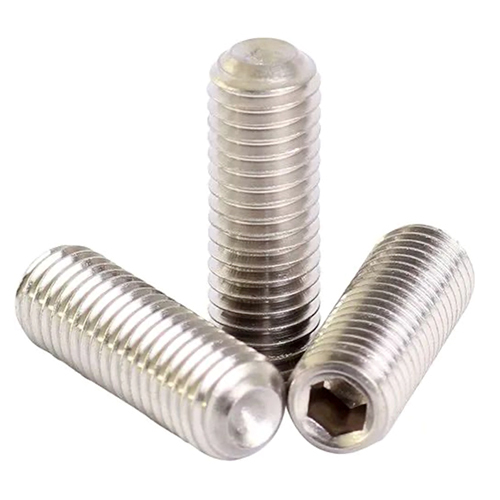 Ss Grub Screw