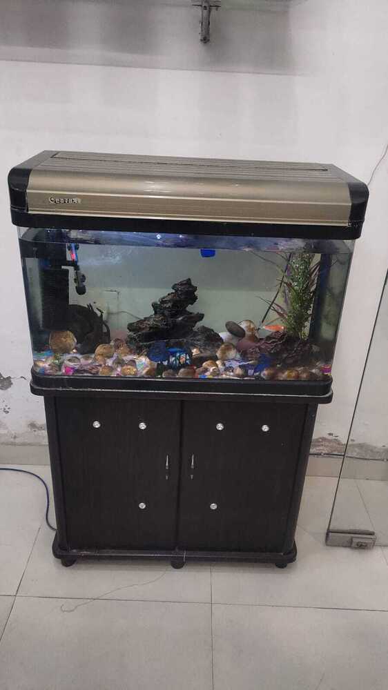 Fish Aquarium