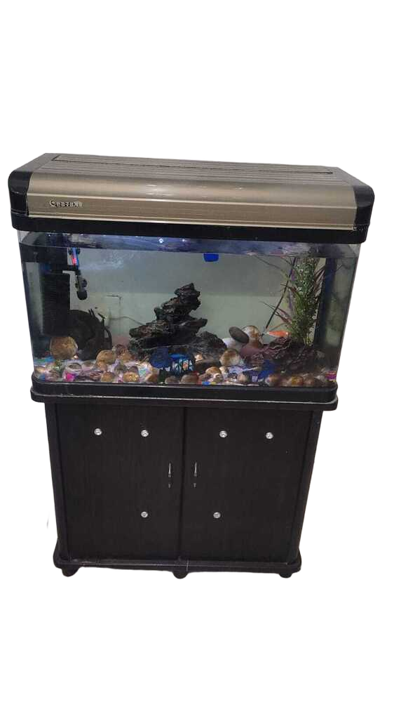 Fish Aquarium
