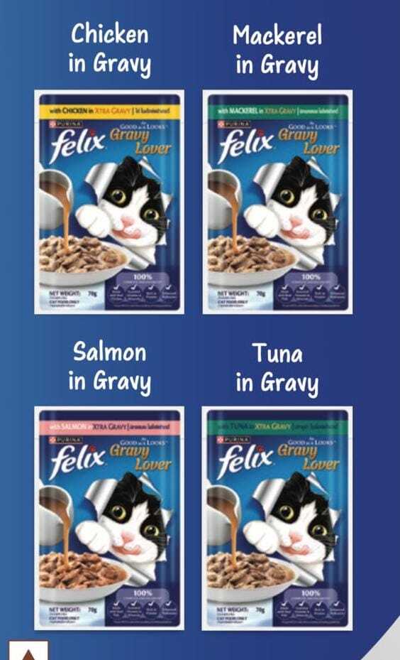 Cat Food Gravy
