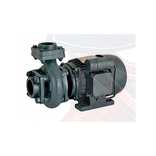 Compact Design Monoblock Motor
