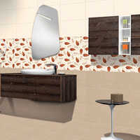 11113 300x450mm Glossy Finish Wall Tiles