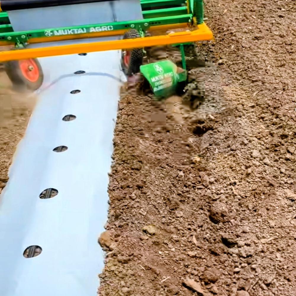 Mulching Paper with Hole
