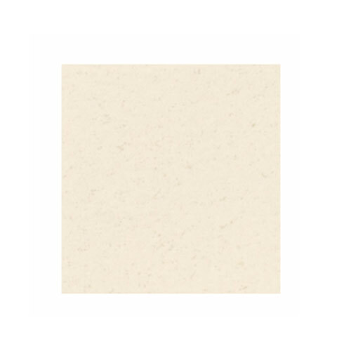 Carnive Vitrified Tile