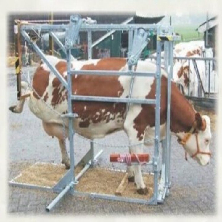 Hoof Trimmer