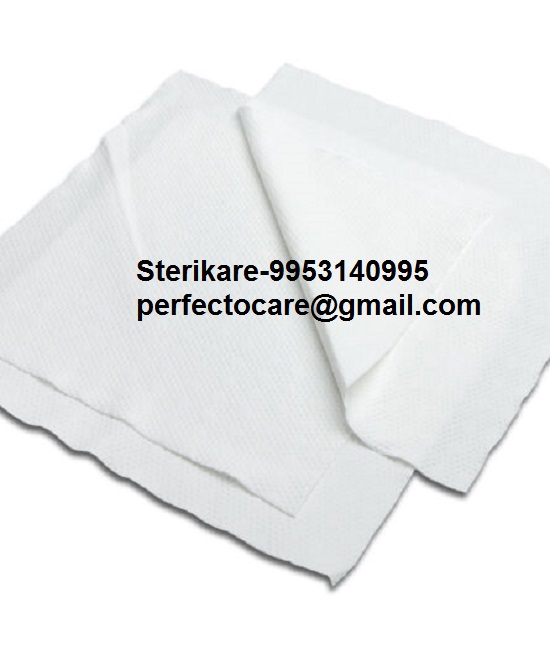 Clean Room Wipes 