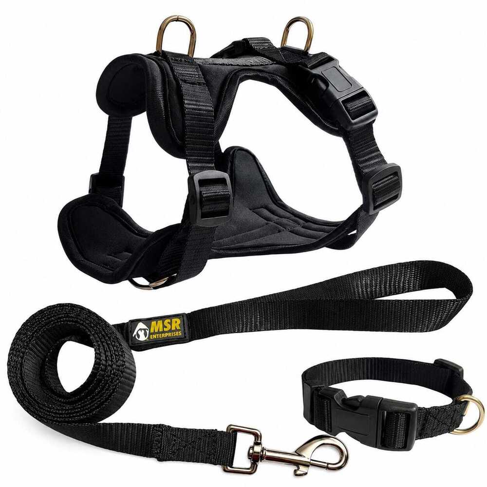 Dog Harness Leash Collar Combo Set