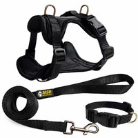 Dog Harness Leash Collar Combo Set