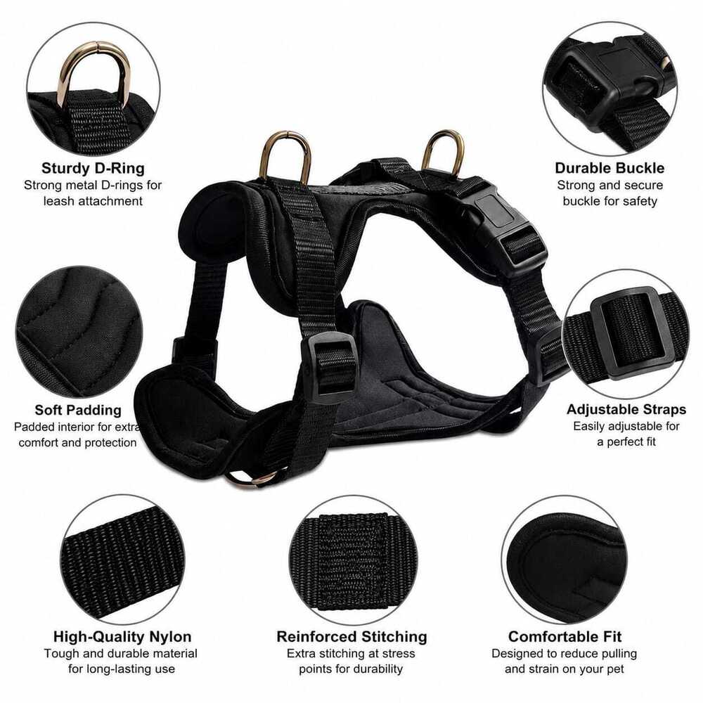 Dog Harness Leash Collar Combo Set