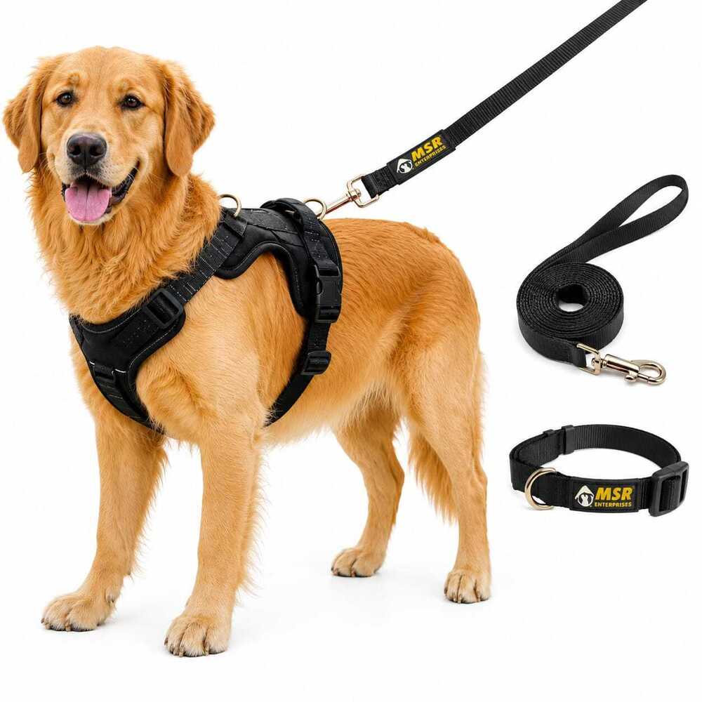 Dog Harness Leash Collar Combo Set
