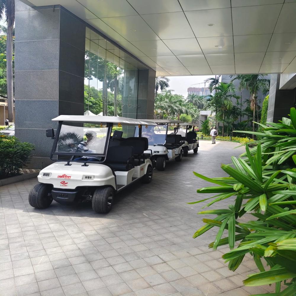 6 Seater Campus Vehicle - Capacity: 600 Kg