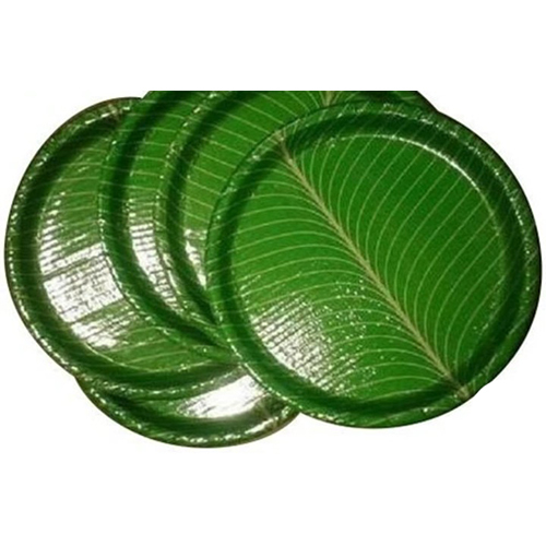 Disposable Thali