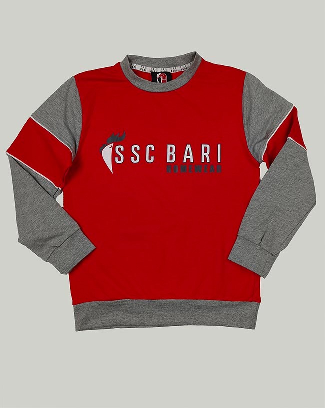 B16725 | Boys Crew Neck Pullover Sweatshirts