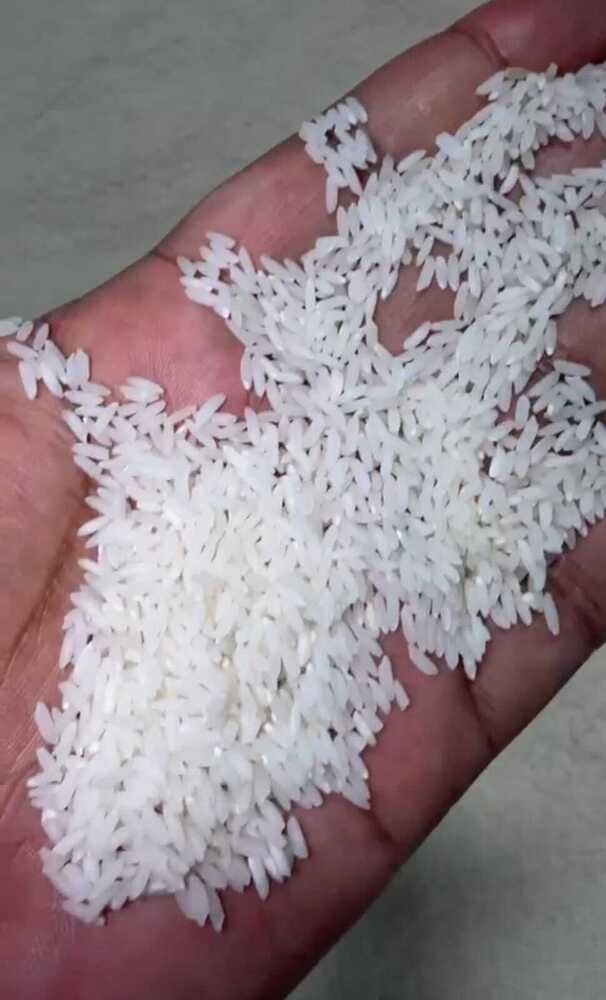 Jeerakasala And Jeeraga Samba Rice