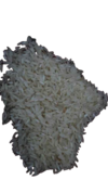 GR 11 Ponni Samba Rice