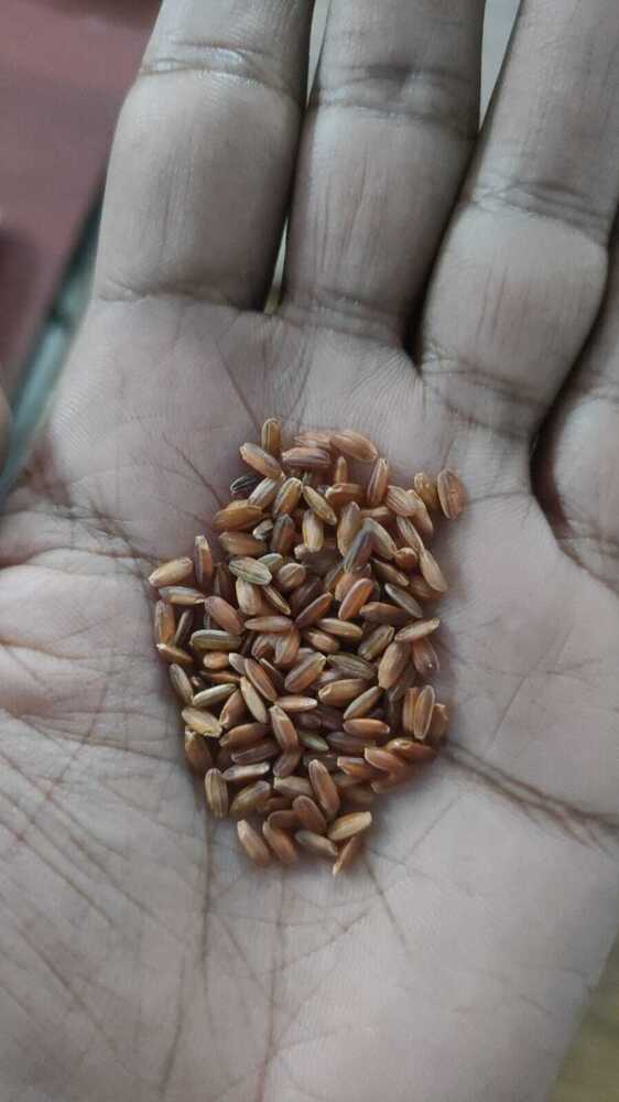 Indian Rice