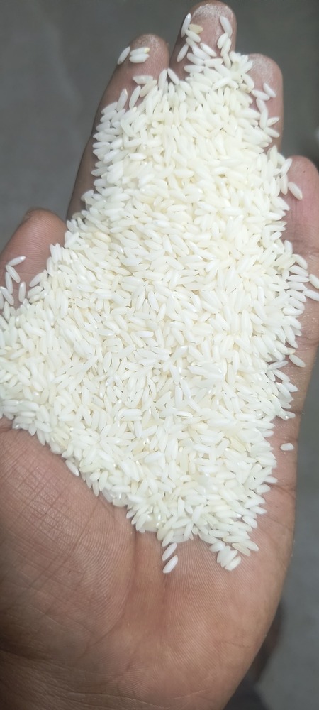Sona Masoori Steam rice