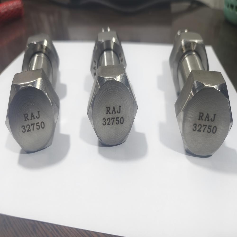 DUPLEX 2205 HEX BOLTS M20X100