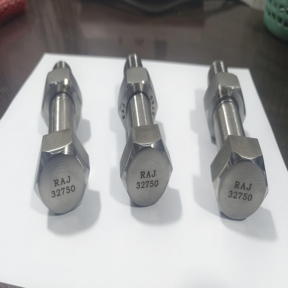 SS 304 HEX BOLT M16X70