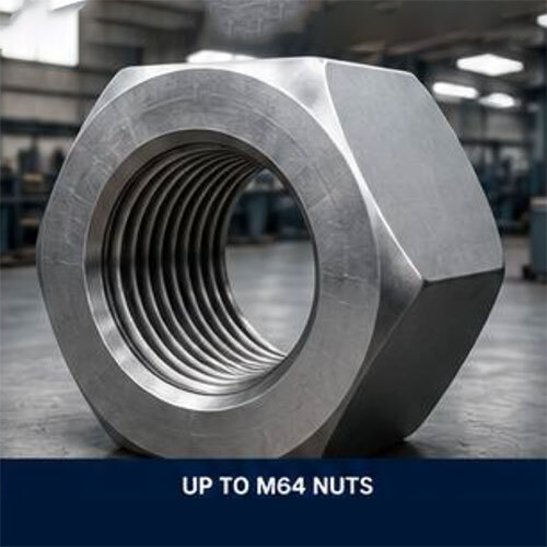 SS Nex Nuts
