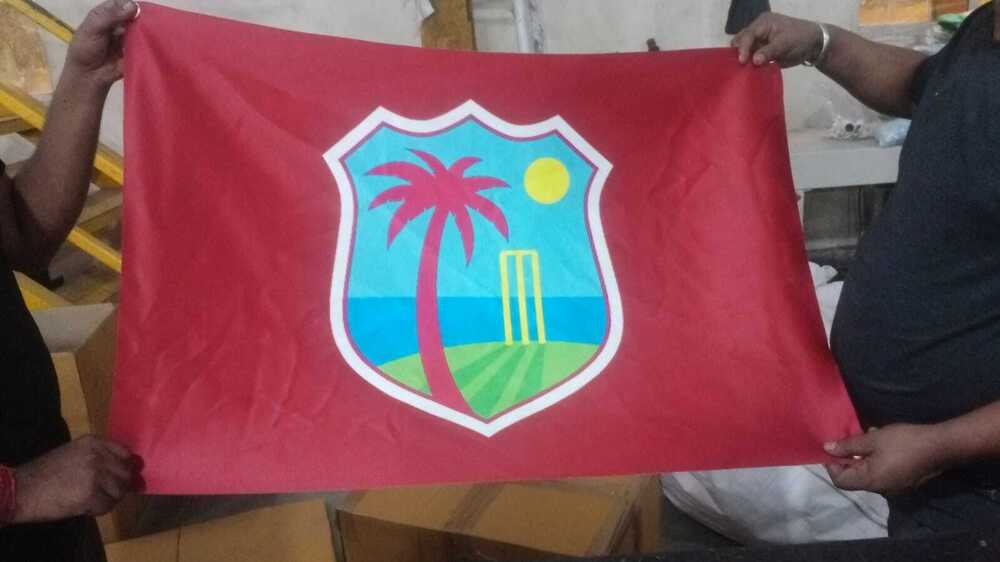 Sports Flag