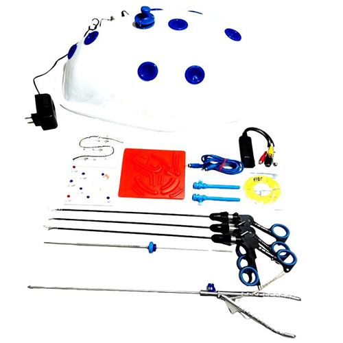 BeetleShape Endotrainer with instrument