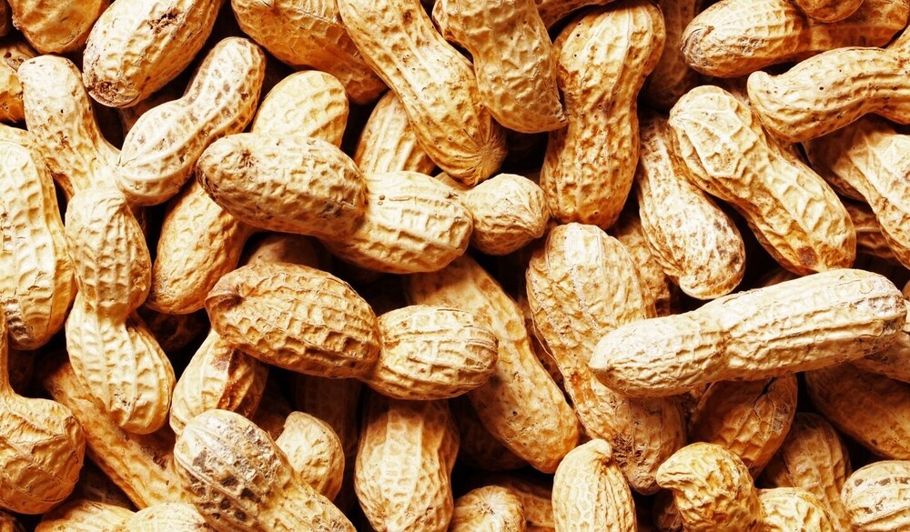 Whole Groundnuts