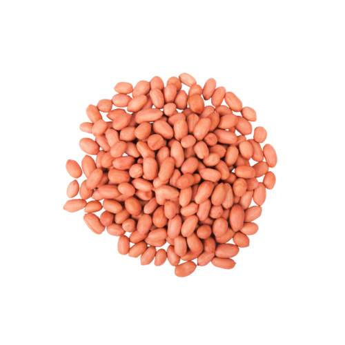 Whole Groundnuts
