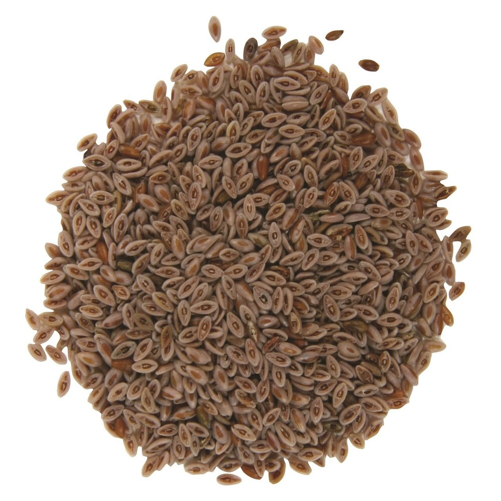 Isabgol Psyllium Husk