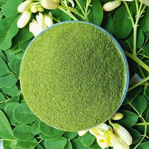 Dried Moringa Leaf Powder
