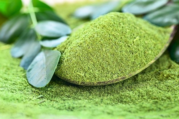 Dried Moringa Leaf Powder