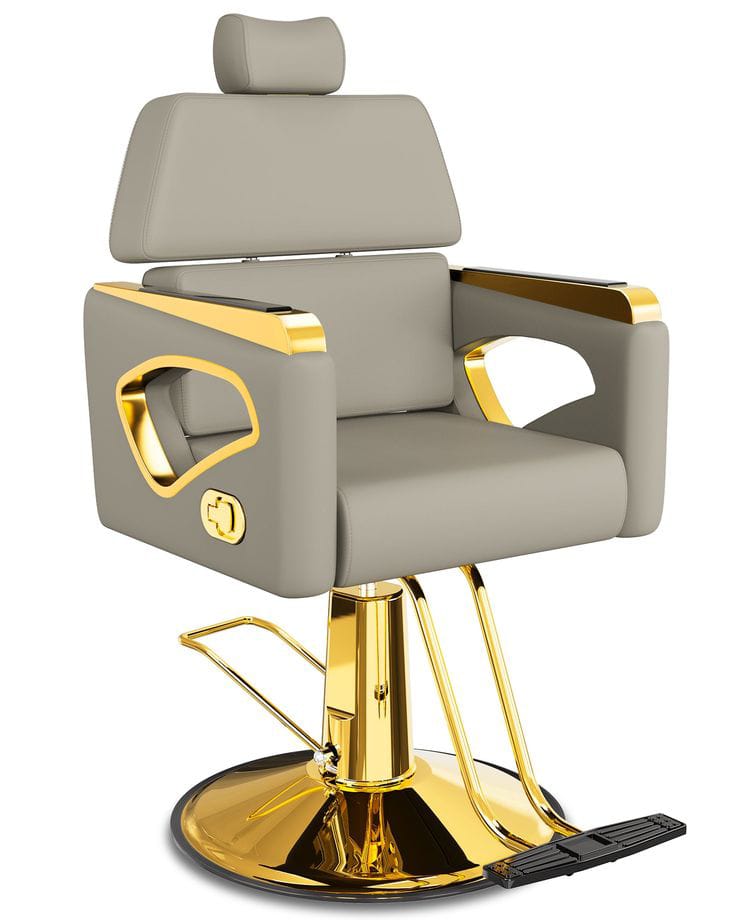 Mayur Galaxy Chair with Footrest 