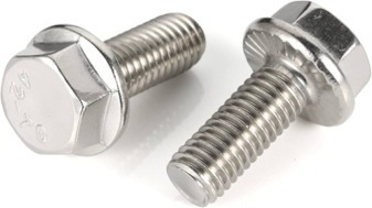 Flange Screw