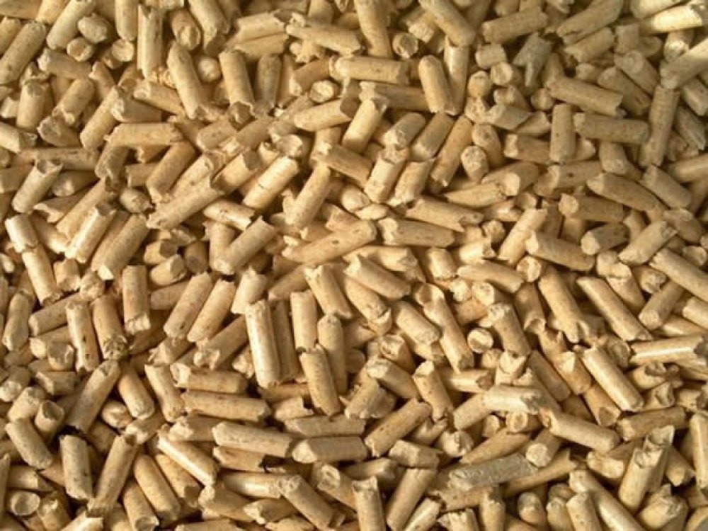 Burning Biomass Pellets