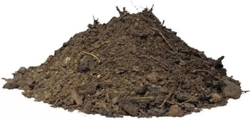 Cow Dung Powder