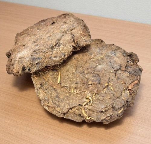 Cow Dung Cake