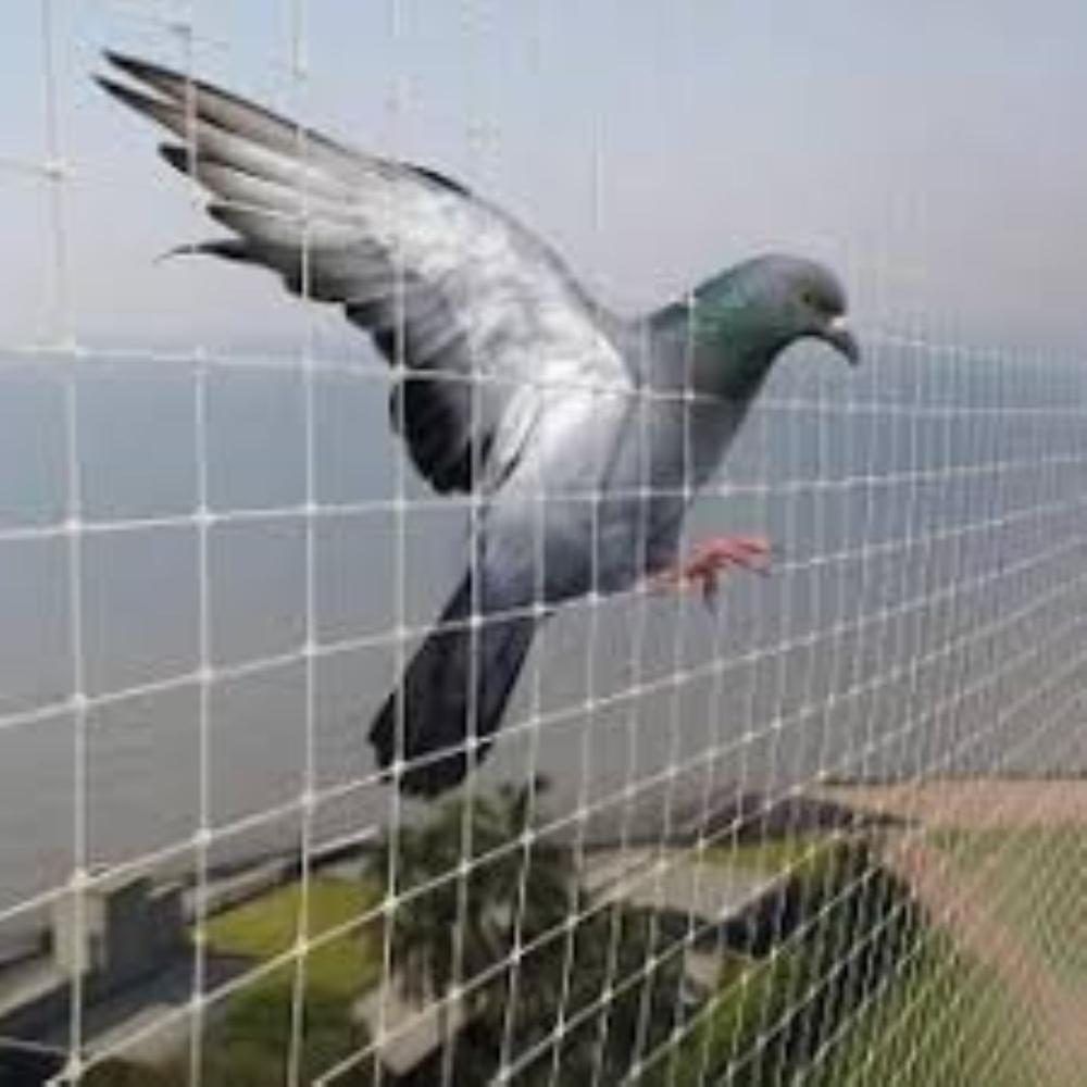 Anti Bird Nets Services