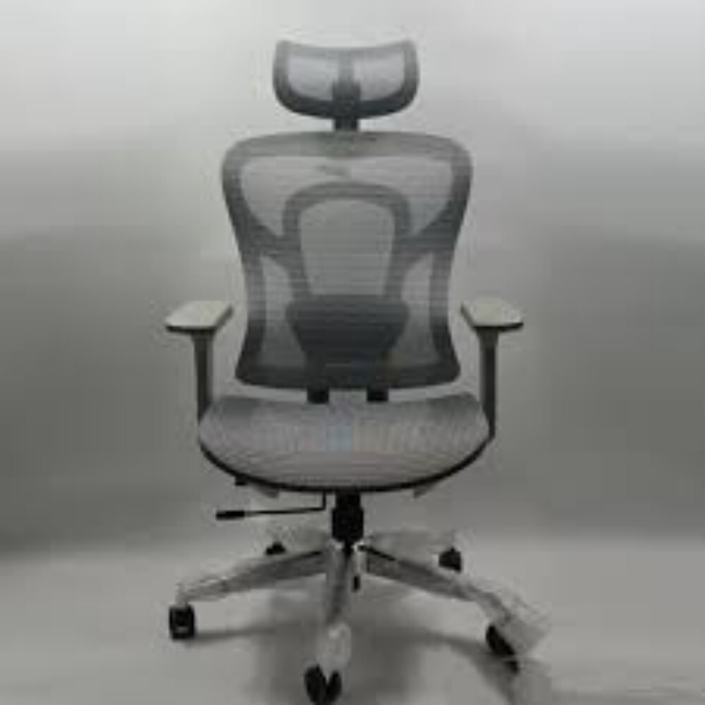 Spongy Victory High Back Office Chair