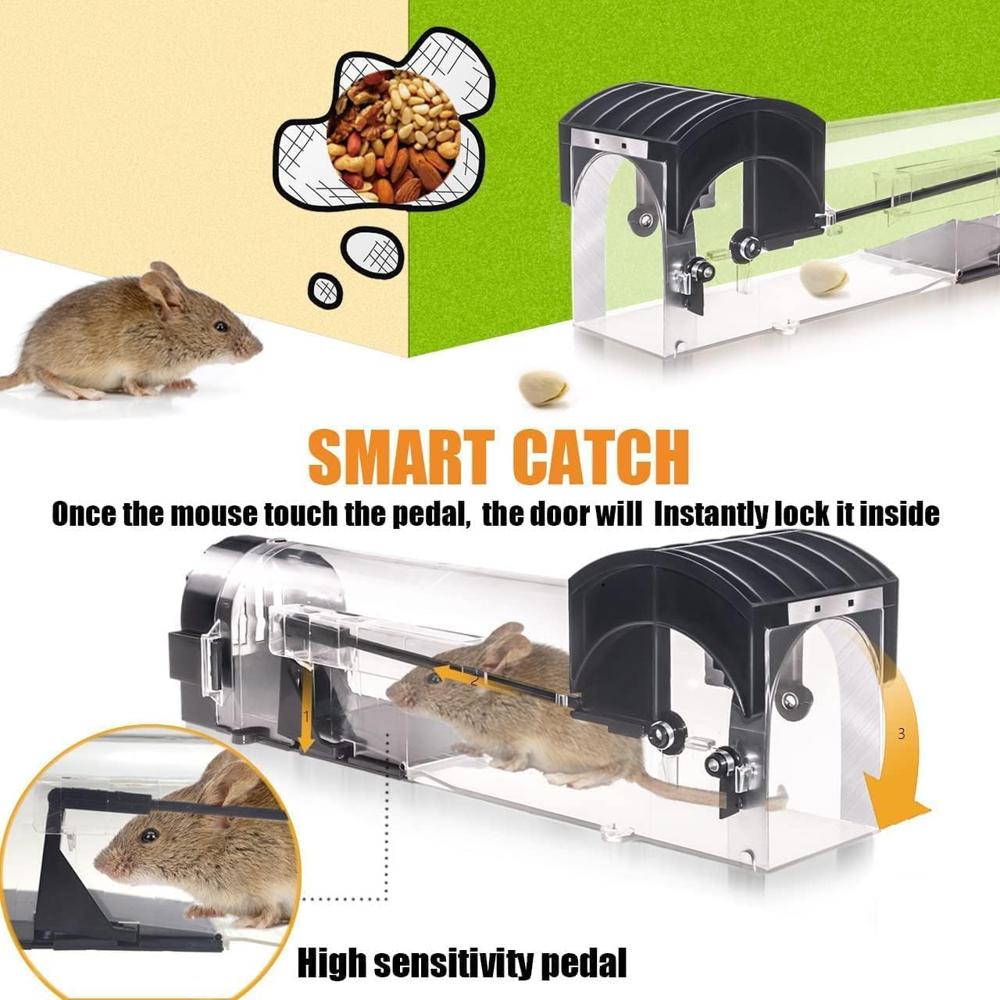 Mouse Traps Box