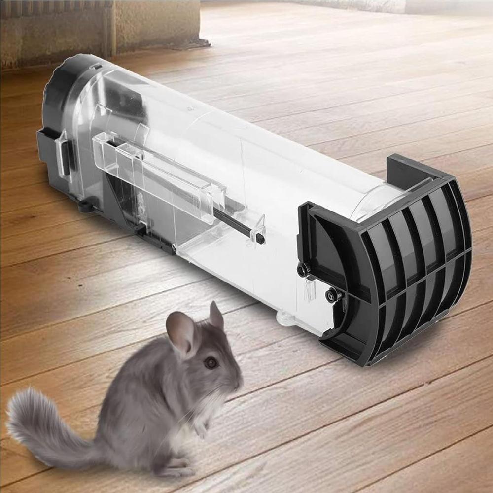 Mouse Traps Box