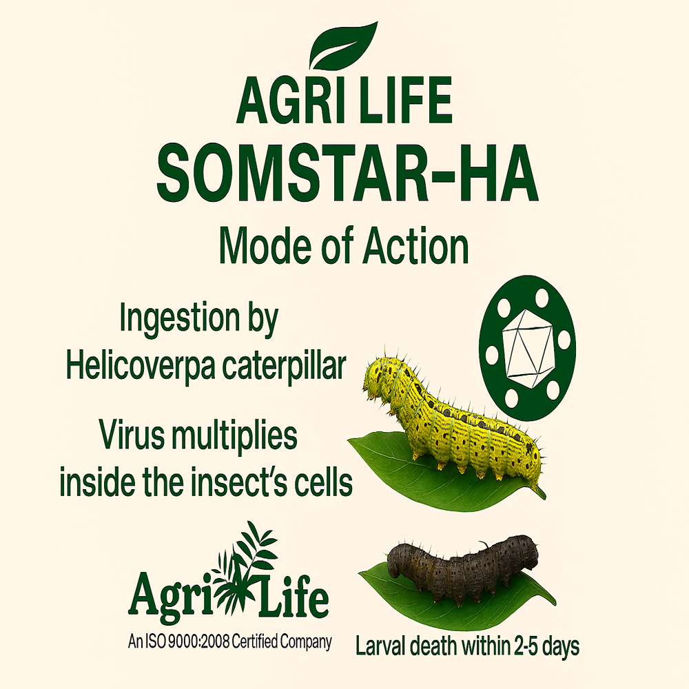 Somstar Ha - Application: Agriculture