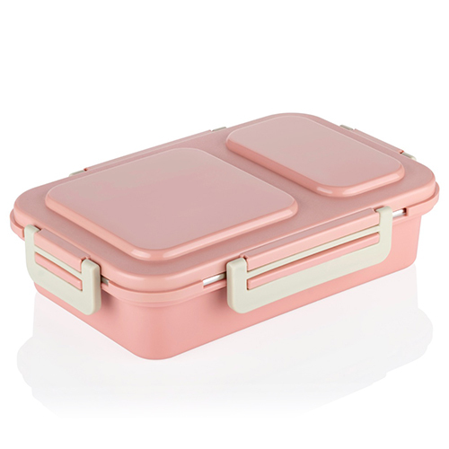 Partition Lunch Box