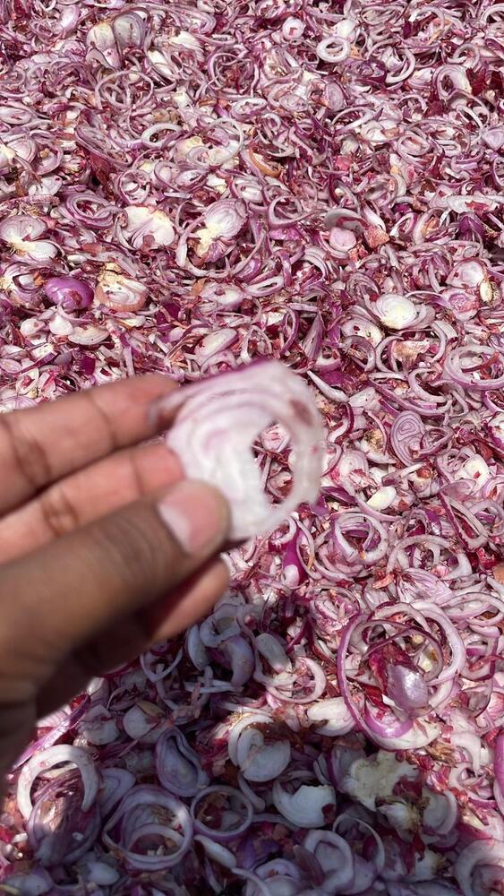 Dehydrated Onion